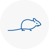 Mice Exterminators In Woodford
